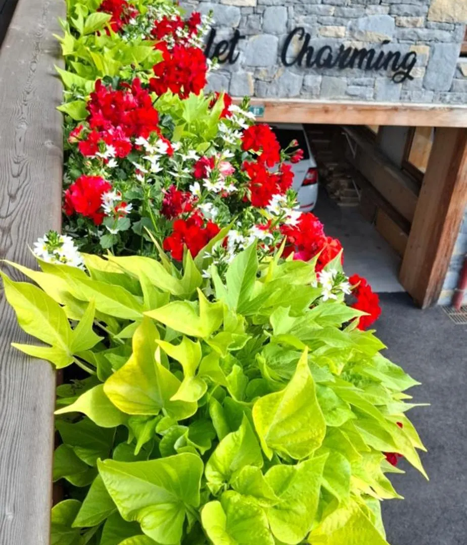 Chalet Charming B And B Les Gets Bed & Breakfast